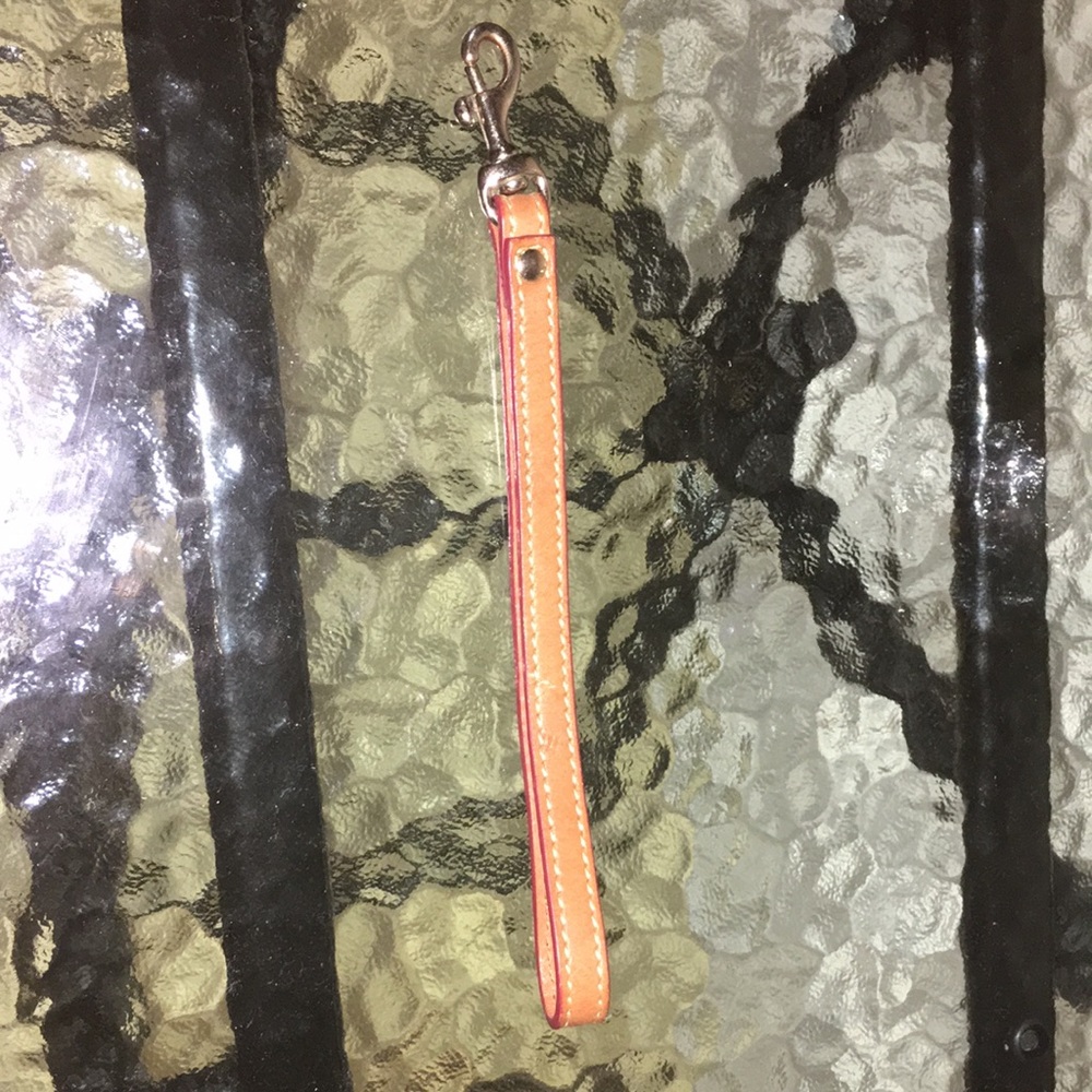 Dooney and Bourke Wristler strap brown